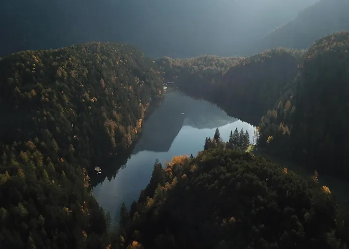 Seehueter's Seerose אוץ